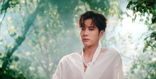 吃瓜爆料王嘉尔